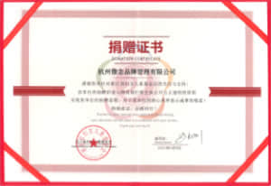 "家庭守护计划"公益项目
定向上海防疫项目荣誉证书
浙江省妇女儿童基金会