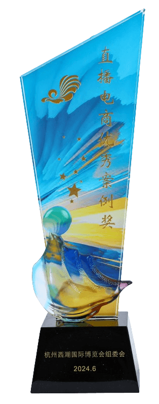 2024年杭州西湖国际博览会
直播电商优秀案例奖